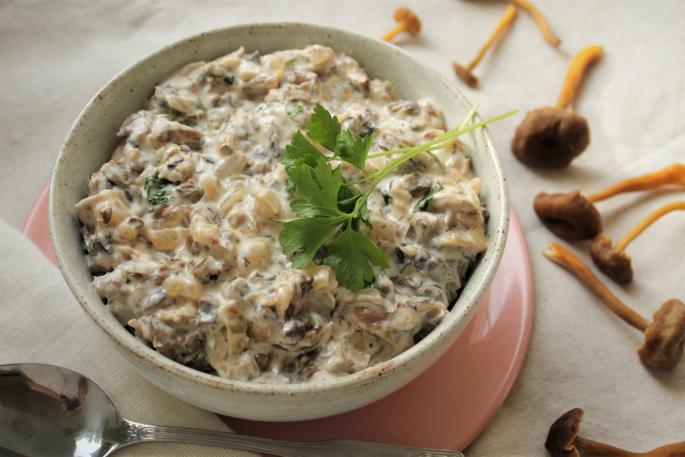 Forest mushroom sauce - Climate Friendly Veggie Food